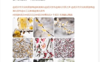 整个武汉冻成了个“冰糖葫芦” 雷军晒图：作为湖北人 我也是第一次听说冻雨 !