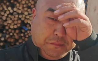 网友近3小时买空18吨滞留甘蔗 ！直言：虽遇苦果，但结局像甘蔗一样甜！