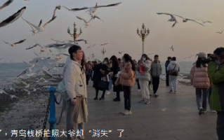 青岛栈桥拍照大爷被要求停止营业：属无照经营业户 ！