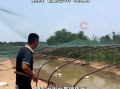 全国体感超45℃区域达到最大！河南网友：养鹅十多年头一次见鹅热死在水里 ！