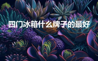 四门冰箱什么牌子的最好（选购四门冰箱的四个指标）