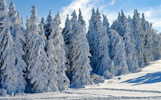 我国将出现一次大范围雨雪 黑龙江等地“跳水式”降温 ！