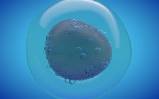 专家：艾滋病已是可防可控可治的慢性病 ！