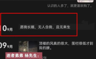 女子遭家暴跳海自杀，当天发了一条朋友圈“愿我长眠，无人念我，且无来生”： 丈夫称我也挺累 ！