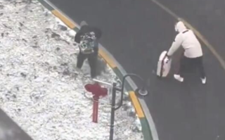 东北雪天出行还原“甄嬛去凌云峰” ！网友：“出走半生，归来仍在小区”！ 