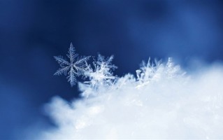 东北多地大暴雪！专家解析本轮雨雪降温天气主因：冷暖空气交汇 ！