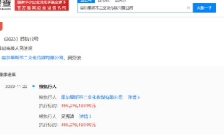 吴秀波及其公司被强执4.66亿：涉及委托合同纠纷案件 ！