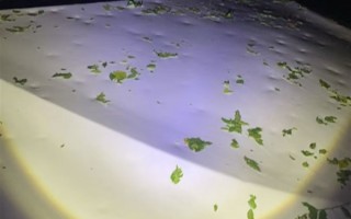 北京冰雹车盖被砸出气泡膜！车主：车玻璃砸碎 车身全是坑  !