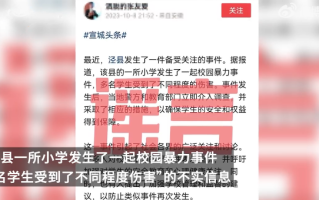 男子造谣小学现校园暴力被拘：网民为博眼球、赚取流量编造！