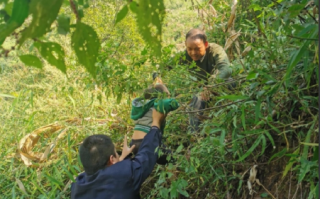 3岁女童被野猴抓走民警成功救回：万幸，她只受到轻微抓伤 ！