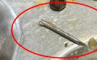 上海交大回应食堂吃出1.5厘米针头：猪打疫苗，针断在骨头里了 ！