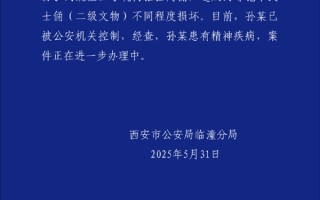 官方通报男子跳至兵马俑三号坑：造成二级文物两尊铠甲武士俑损坏 !