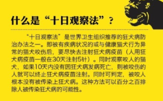 狂犬病潜伏期长达十几年?别信 ！通常是1－3个月，极少数（不到1%）可能大于1年！