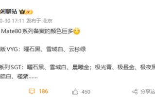 11月发布！华为Mate 80系列备案配色出炉：黑、白、紫、金、银全都有 !