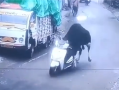印度一头牛被监控拍到偷骑摩托车：撞墙后淡定离开 !