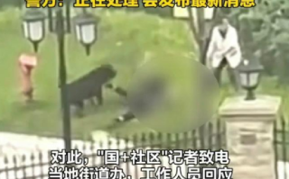 街道办已动员数百人寻找肇事烈犬：幼童已被送医救治 ！