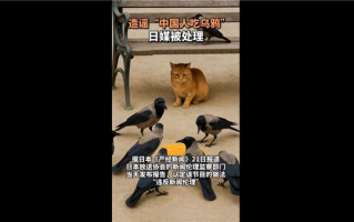 造谣中国人吃乌鸦的日本媒体被处理：公开道歉制造虚假信息 让观众对他国文化产生误解 !