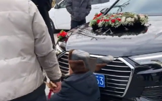 八旬老人拄拐拦婚车要钱，称“报警就报警 不害怕”！目击者：有团队，最后给了一百块！