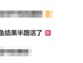 骑手称配送死鳄鱼：结果半路活了 !