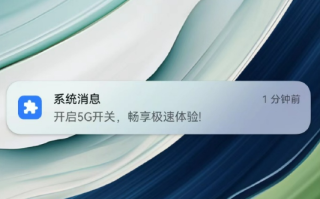 提示打开“5G开关“后 华为Mate 60系列发布136版更新：仍无5G标识 ！