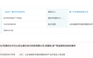 “老头乐一哥”雷丁汽车再被执行1001万！累计金额已超1.45亿元 ！