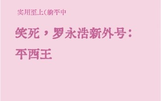 网友赐罗永浩平西王外号：2011年曾一锤砸掉西门子几亿市值 !