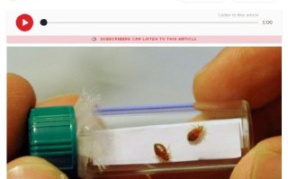 欧洲、韩国疯狂扩散！多国爆发床虱危机：以人类血液为食 ！