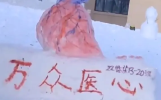 医学生堆心脏大脑等器官造型雪人 ！​网友调侃道：没点医学知识还真堆不出来！