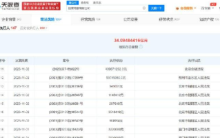 国美电器等被强制执行超11亿：存在上百条被执行人信息 ！