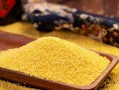 小米的产地哪里最好（优质小米的产地选择） !