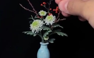 女程序员下班后为自己造了一座迷你植物园：最小植物仅2毫米宽 ！