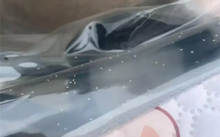 河南多地遭“小白虫”侵袭：成群飞虫影响市民出行 !