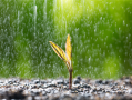新一轮降雨今起将影响北方地区：时间长 雨量大 !