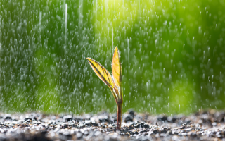 新一轮降雨今起将影响北方地区：时间长 雨量大 !