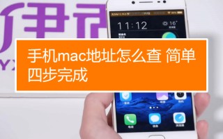 手机mac怎么看（如何保护手机MAC地址）