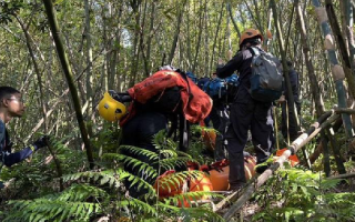 台湾一登山团遭蜂群攻击2死9伤：4名消防人员前往救护也被螫伤 ！