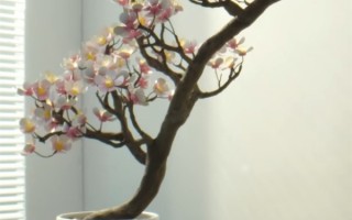 真“铁树开花”！何同学用记忆金属做了一盆花：光照开花 ！