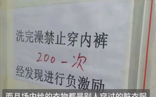 猪场饲养员洗澡后穿内裤罚款200！养殖场回应：场地有配备一次性内裤和全新内裤 ！