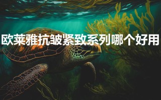 欧莱雅抗皱紧致系列哪个好用（5款去皱纹较好的护肤品）