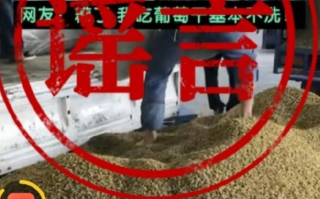 新疆和田光脚踩葡萄干系谣言：和田地区暂无葡萄干晾晒场地 ！