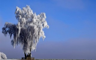 局地降温超过16度 这里不足-24度！寒潮冷空气又又又来了 ！