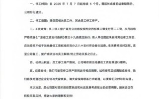 罗马仕回应停工停产：正常调整 召回方案长期有效 ！