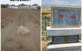 “全国最矮的山”火了：最高处只有0.6米 !