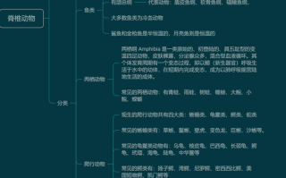 动物分类有哪几大类（动物的常见分类方法都有哪些） ！