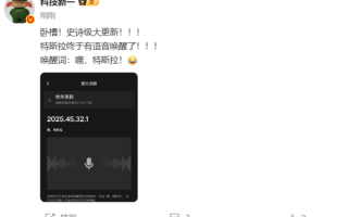 终于有语音唤醒！特斯拉史诗级大更新 车主：终于等到了 ！