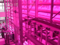 让沙漠成沃土！科学家z轴种菜产量翻100倍 ！