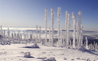暴雪橙色预警！东北这次强降雪下到发紫：局地积雪可达25厘米 ！