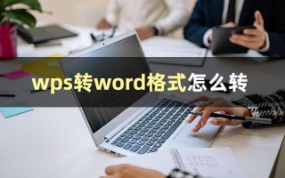 wps格式怎么调整（wps如何转成word文档格式） ！