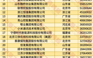 2025中国民营企业500强榜单发布：京东、阿里巴巴前二 华为第四 !
