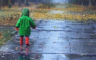 专家：预计今年气候状况总体偏差 ！